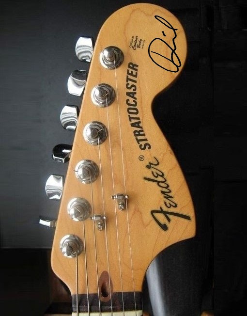 Dave Grohl Headstock