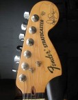 Paul Simon Headstock