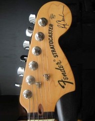Ry Cooder Headstock
